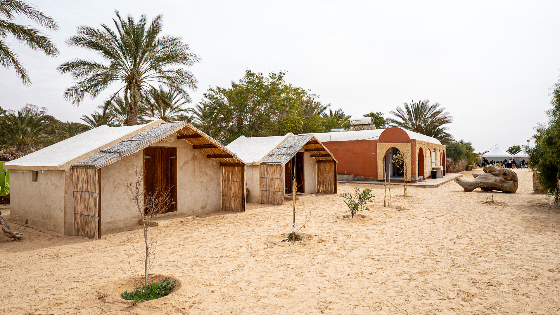  Festival Najaa-elfen_نجع_الفن 
de création artistique au Sahara.. 